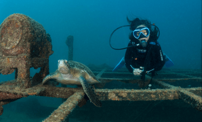 La Paz: Scuba Diving Courses - Learning Experience Highlights
