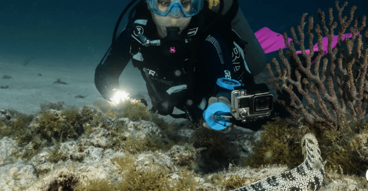 La Paz: Scuba Diving Experience - Good To Know