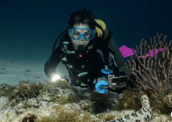 La Paz: Scuba Diving Experience - Diving Sites and Marine Life