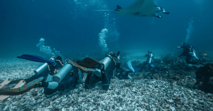 La Paz: Scuba Diving - La Reyna Dive Site - Good To Know
