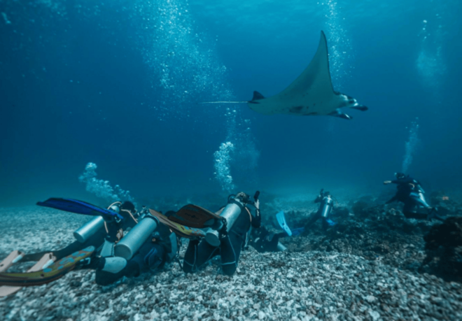 La Paz: Scuba Diving - La Reyna Dive Site - Booking and Cancellation Policies