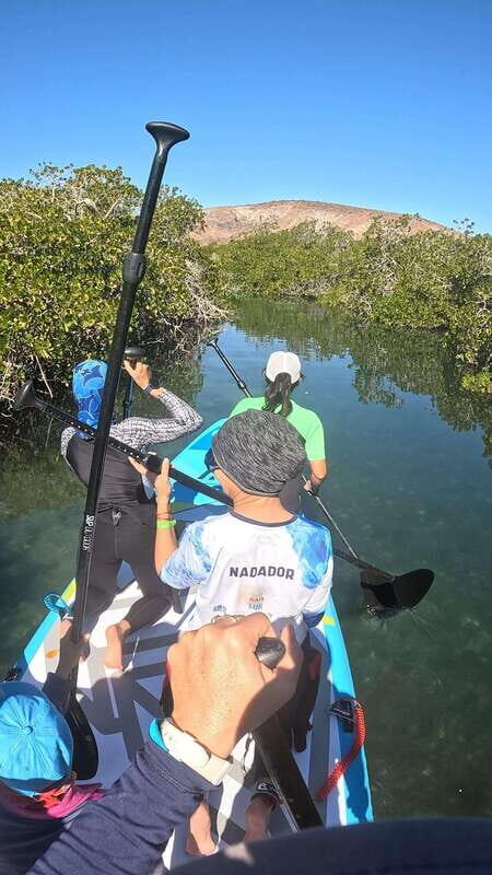 La Paz: Sea Lions & Mega-Paddleboard Tour in Balandra - Who This Tour Is Perfect For