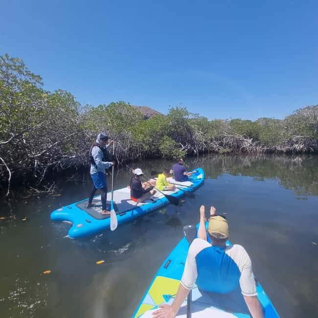 La Paz: Sea Lions & Mega-Paddleboard Tour in Balandra - FAQ