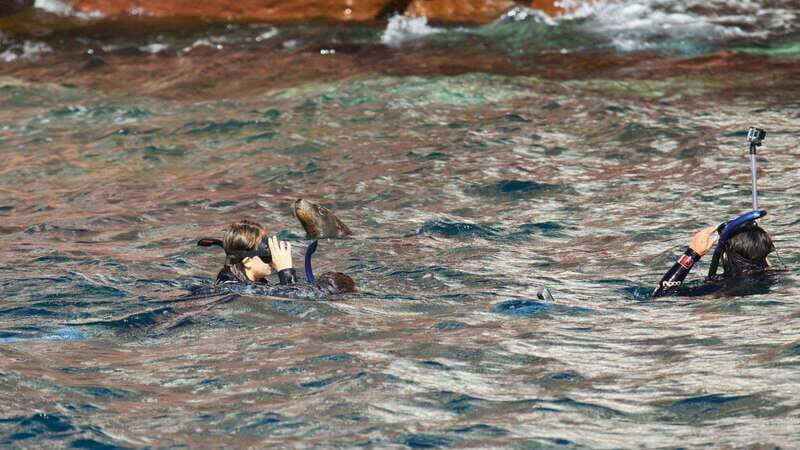 La Paz: Sea Lions & Mega-Paddleboard Tour in Espiritu Santo - What’s Included and What’s Not