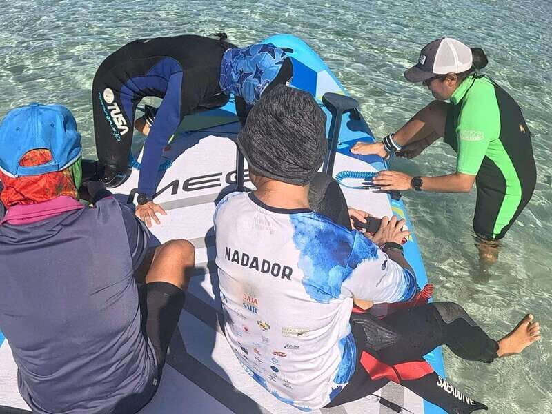 La Paz: Sea Lions & Mega-Paddleboard Tour in Espiritu Santo - The Sum Up