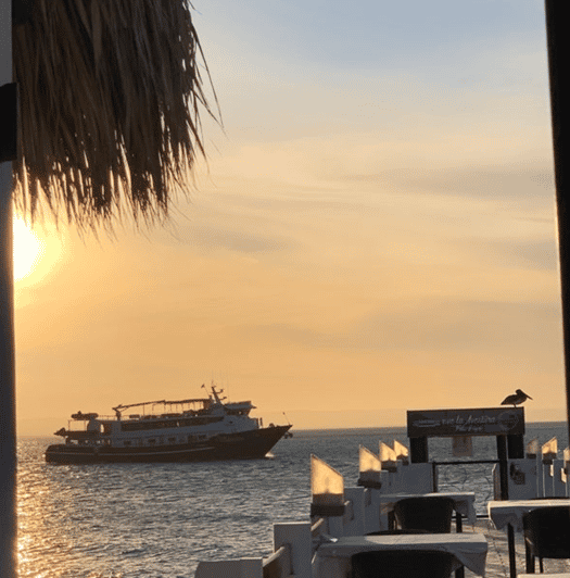 La Paz: Sea Side Bar/Wine & Grill - Good To Know