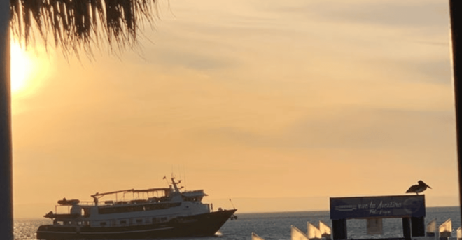 La Paz: Sea Side Bar/Wine & Grill - Serene Ambiance
