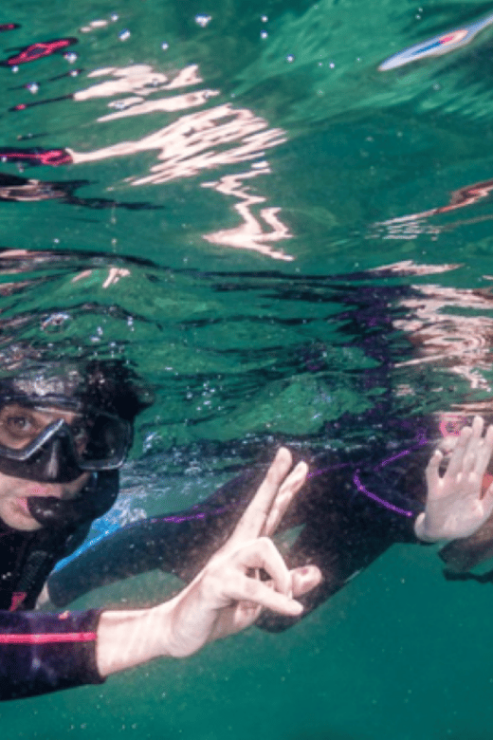 La Paz Snorkeling: Whale Shark Swim & Balandra Bay Combo - Good To Know