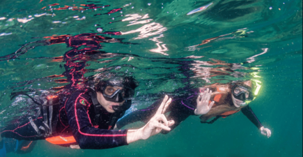 La Paz Snorkeling: Whale Shark Swim & Balandra Bay Combo - Getting There