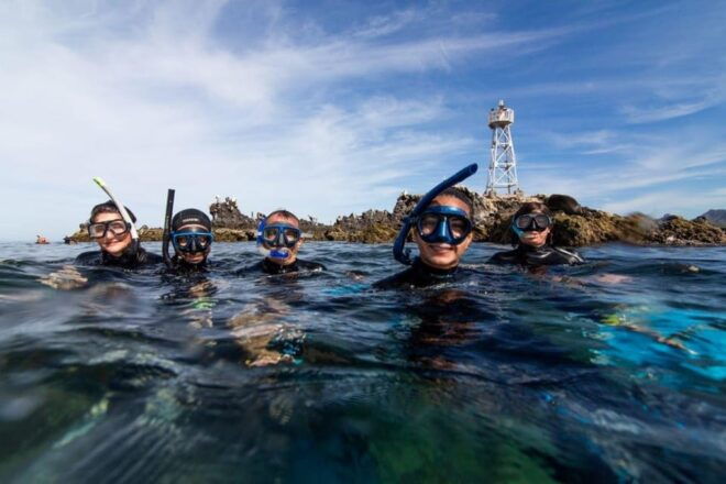La Paz: Snorkeling With Sea Lions and Balandra Beach Tour - Food and Dietary Needs