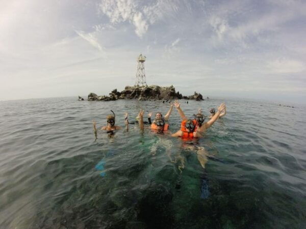 La Paz: Snorkeling With Sea Lions and Balandra Beach Tour - Frequently Asked Questions