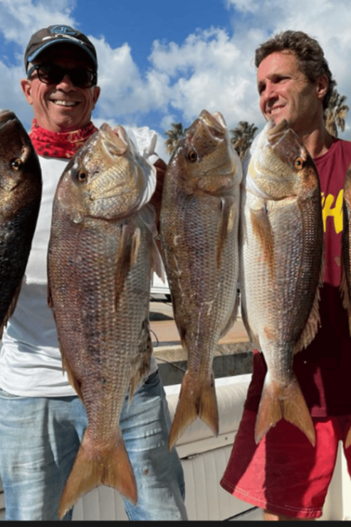 La Paz: Sport Fishing Boat Package - Yacht - Good To Know