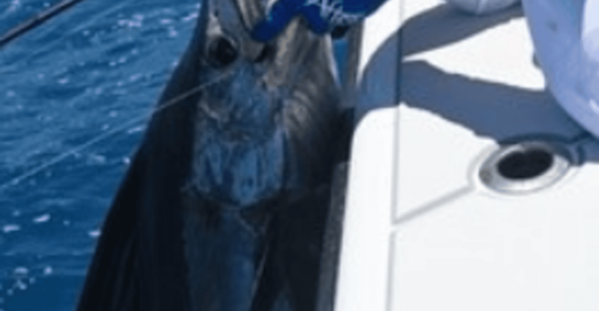 La Paz: Sport Fishing Boat Package - Yacht - Yacht Features