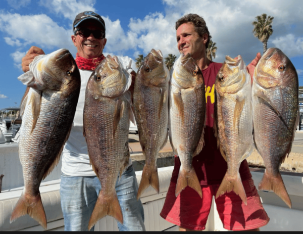 La Paz: Sport Fishing Boat Package - Yacht - Frequently Asked Questions