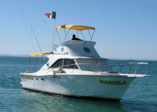 La Paz: Sport Fishing Boat Packages - Cruisers - Frequently Asked Questions