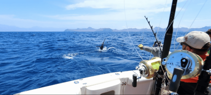 La Paz: Sport Fishing & Hotel Package - Hotel Cathedral - Good To Know