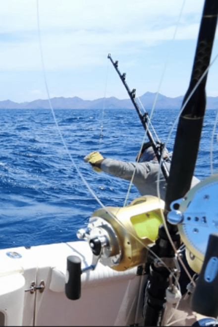 La Paz: Sport Fishing & Hotel Package - Hotel Cathedral - Fishing Excursions