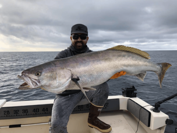 La Paz: Sport Fishing & Hotel Package - Hotel Cathedral - Frequently Asked Questions