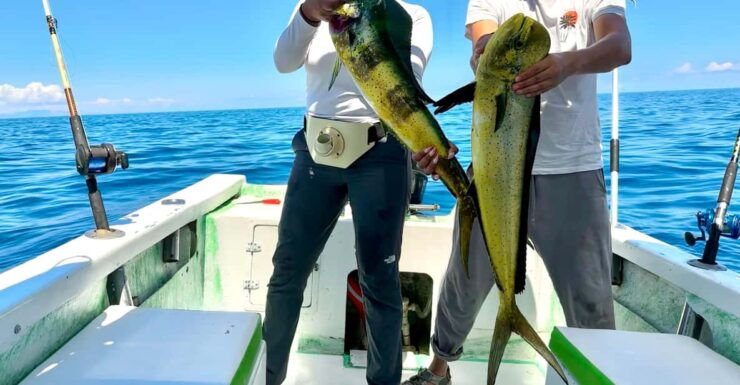 La Paz: Sport Fishing - Good To Know