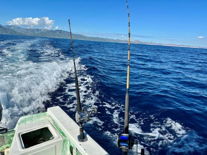 La Paz: Sport Fishing - Preparation and Meeting Point