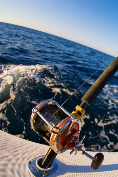 La Paz: Sport Fishing - Booking and Pricing