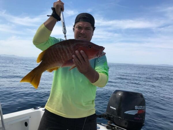 La Paz: Sport Fishing - Marine Biodiversity