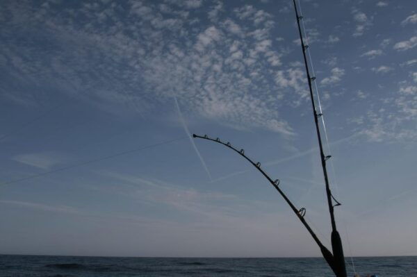 La Paz: Sport Fishing - Frequently Asked Questions