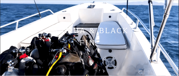 La Paz: Sportfishing Experience - Experience Highlights