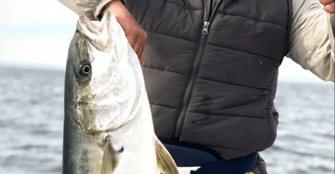 La Paz: Sportfishing Experience - Inclusions and Costs