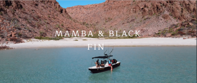 La Paz: Sportfishing Experience - Booking and Cancellation Policy