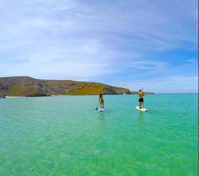 La Paz: Stand Up Paddle Boarding Experience in Balandra Bay - Cancellation and Flexibility