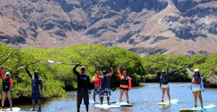 La Paz: Stand Up Paddle Boarding Experience in Balandra Bay - Good To Know