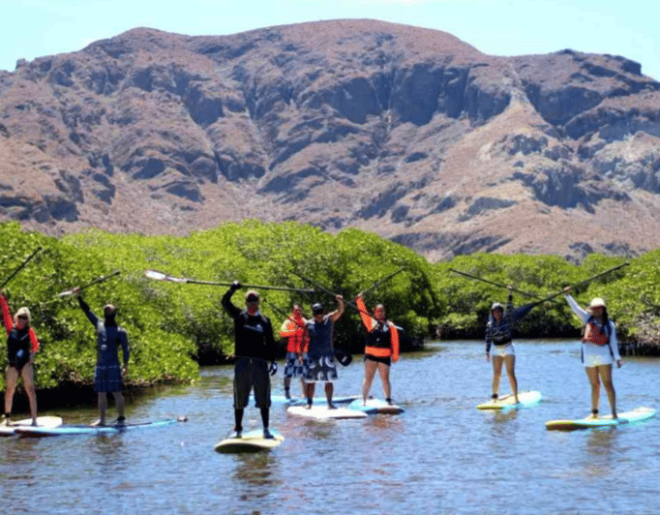 La Paz: Stand Up Paddle Boarding Experience in Balandra Bay - Guidelines and Recommendations