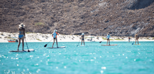 La Paz: Stand Up Paddle Boarding Experience in Balandra Bay - Frequently Asked Questions