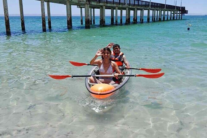 La Paz Transparent Kayaks & Paddle Boards - What Makes La Paz Transparent Kayaks & Paddle Boards Special?