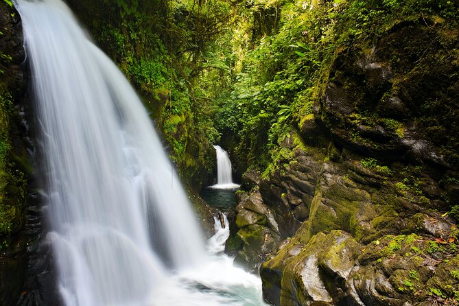 La Paz Waterfalls Gardens Tour (Half Day) - Customer Reviews