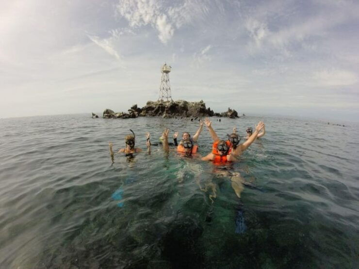 La Paz: Whale Shark and Sea Lions Snorkeling Tour - Tour Overview and Pricing