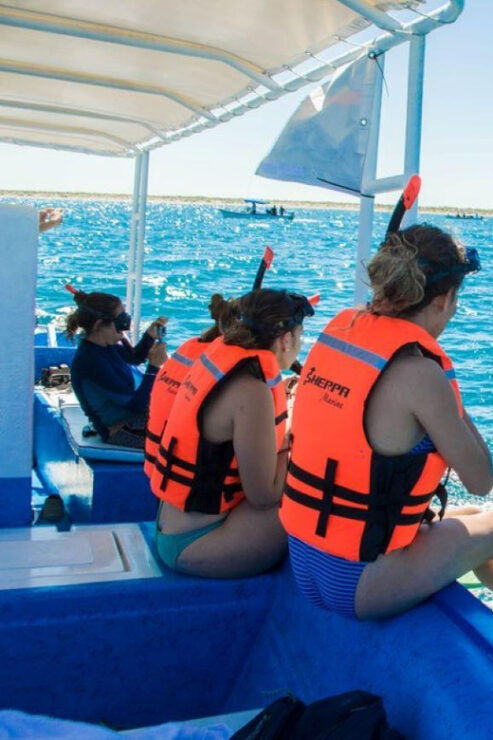La Paz: Whale Shark and Sea Lions Snorkeling Tour - Inclusions