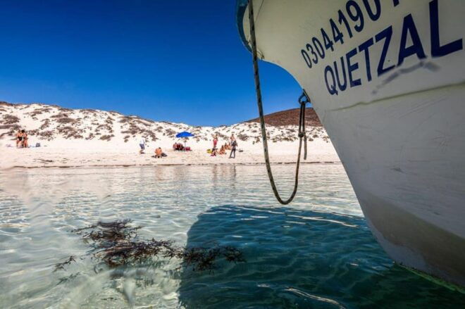 La Paz: Whale Shark and Sea Lions Snorkeling Tour - Exploring La Gaviota Island