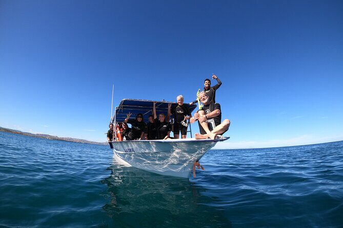 La Paz Whale Shark Snorkeling Tour and Lunch From Los Cabos - Who Will Love This Tour?