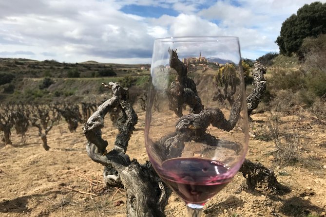 La Rioja Boutique Wine Tour - 2 Bodegas & Picnic Lunch (From Bilbao) - Reviews
