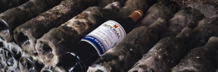 La Rioja: Guided Visit to CVNE Winery and Wine Tasting - Sensory Workshops at the Wine Bar