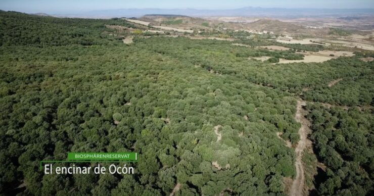 La Rioja: Jamon Iberico Farm Tour and Tasting With Wine - Experience Highlights