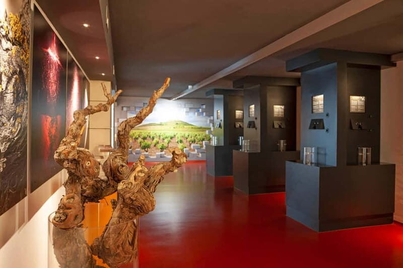 La Rioja: Sensory Experience With Wine Tasting - The Itinerary: What You’ll Experience