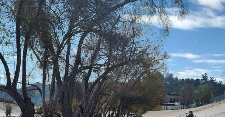 LA River Eco Tour and Secret Stair Hike - Tour Booking Details