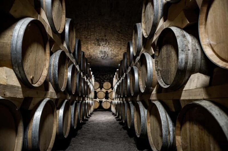 La Roche Vineuse: Tour of the Vine and Wine Museum - What Makes This Tour Special?