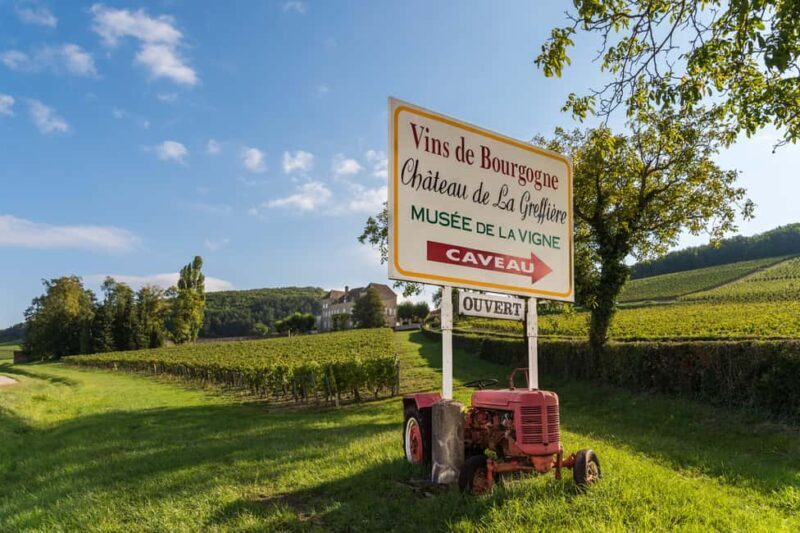 La Roche Vineuse: Tour of the Vine and Wine Museum - Practical Details and Tips