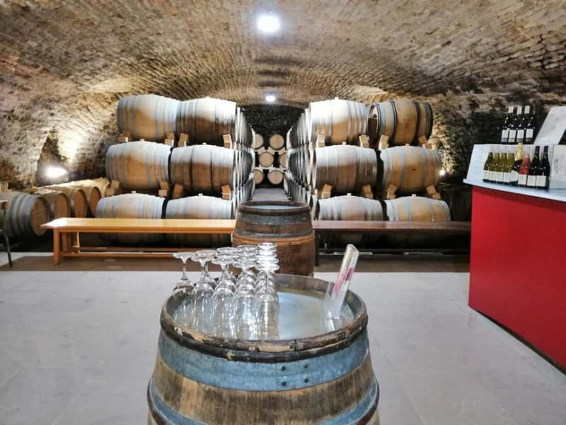 La Roche Vineuse: Tour of the Vine and Wine Museum - Final Thoughts