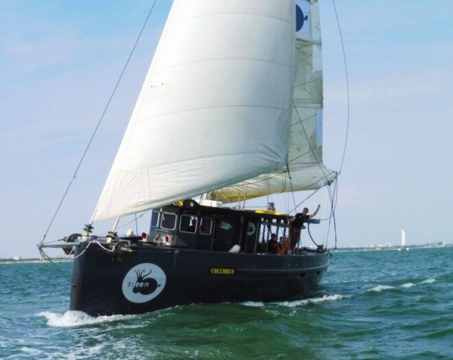 La Rochelle: 3-Hour Sailing Cruise - Booking Details