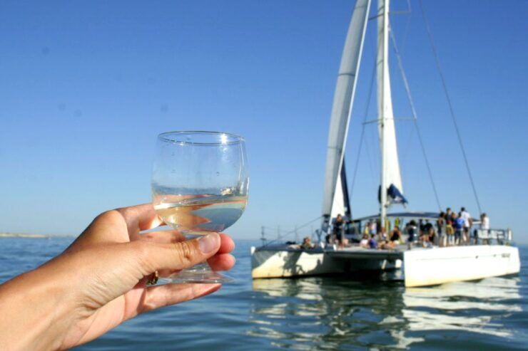 La Rochelle: Catamaran Cruise - Experience